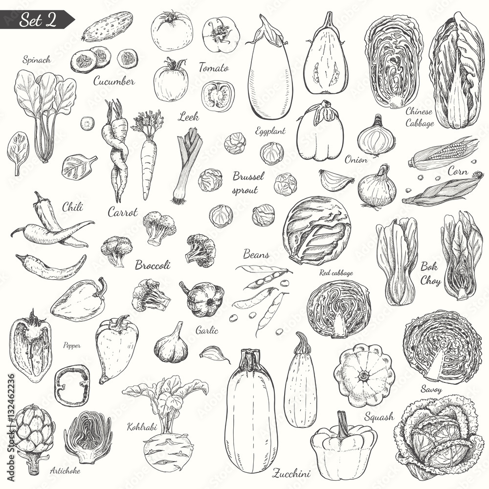 Big set of vegetables in sketch style