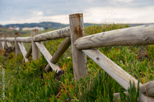 landscape coastline with wooden fance and plants