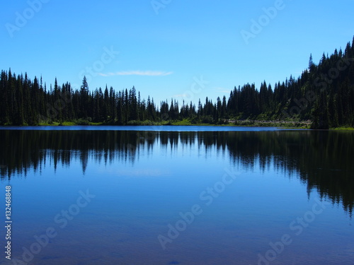 Trees reflected in lake