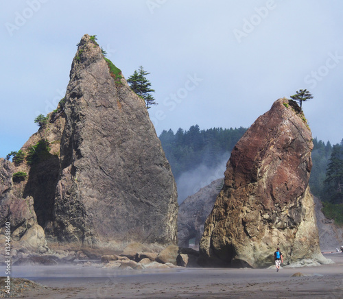Boulders on beach in the pacific north west