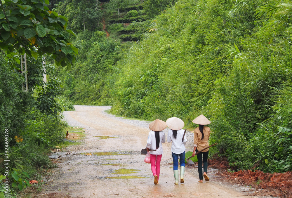 Three girls on their way to work in Vietnam Three girls on their way to work in Vietnam