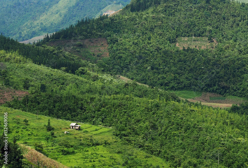 Secluded cabin in Vietnam