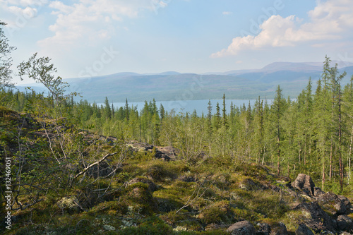 Fotografie Larch taiga on the slopes along banks of mountain lake.