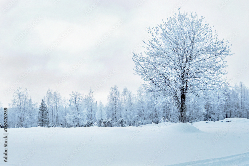 The short winter day in northern Russia. Karelia