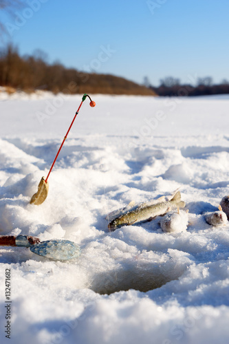 Fish and rod on the Ice close to hole while winter fishing