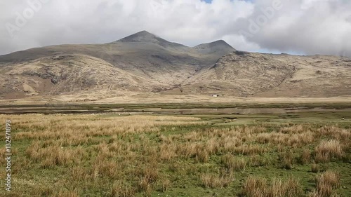 Isle of Mull Scotland UK rural countryside scene with view to Ben More and Glen More mountains on calm spring day with sheep pan