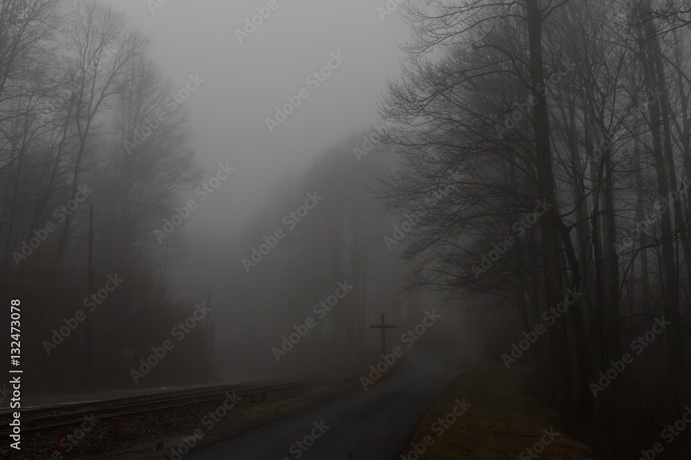Railroad in the Mist, Balsam Mountain, North Carolina