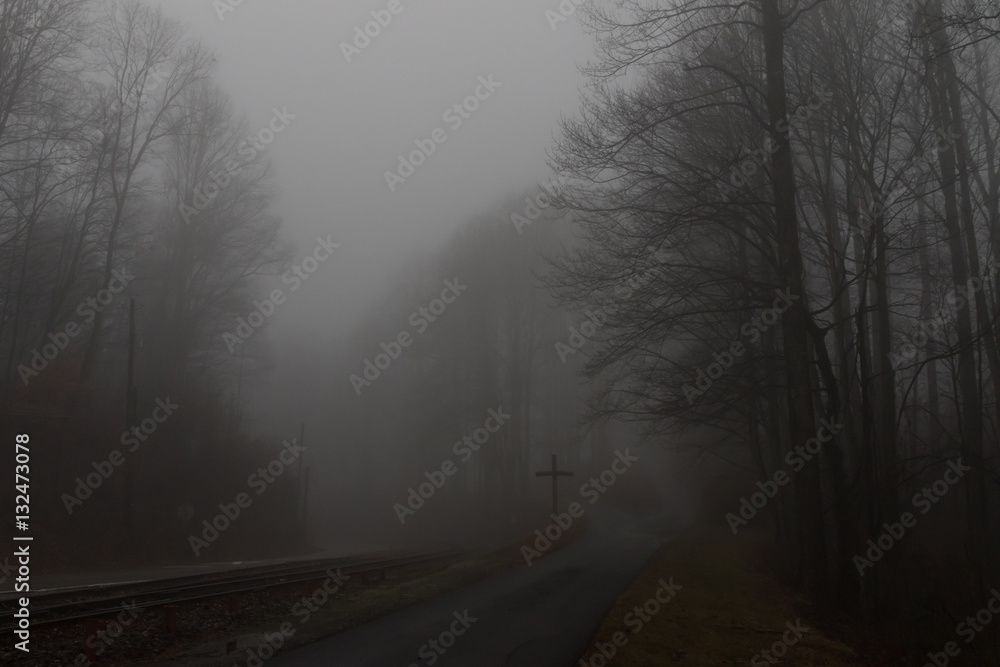 Obraz premium Railroad in the Mist, Balsam Mountain, North Carolina