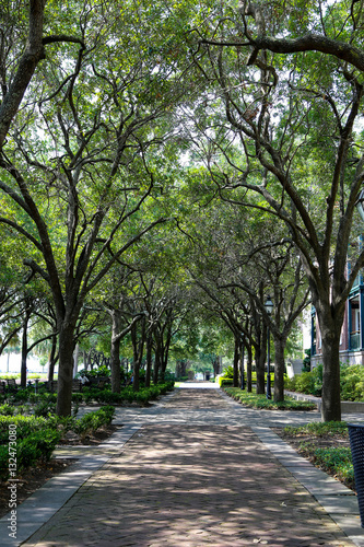 garden pathway © Jennifer