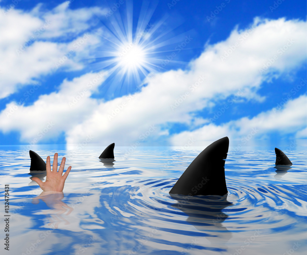Obraz premium Sharks circling drowning man