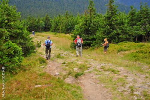Grupa turystów na górskim szlaku w Sudetach