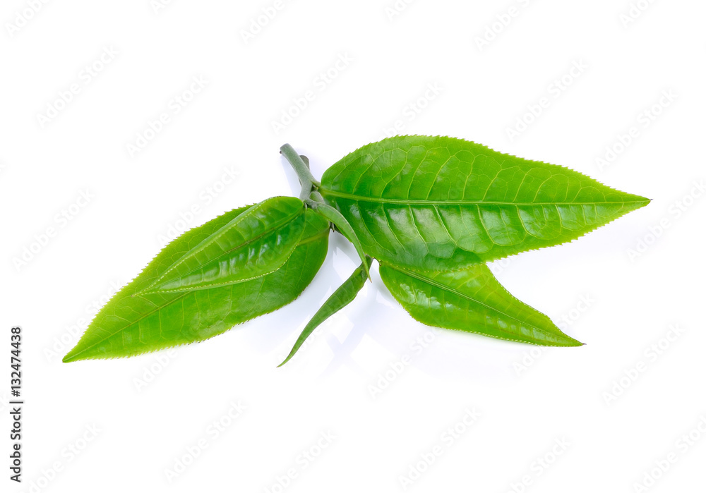 Obraz premium tea leaf isolated on white background