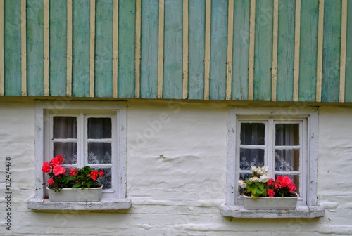 Okna z doniczkami pelargonii