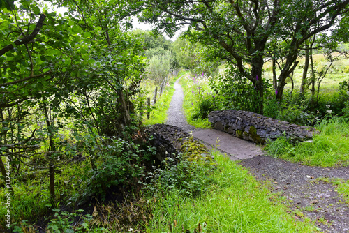 Irland - Wanderweg bei Oughterard County Galway photo