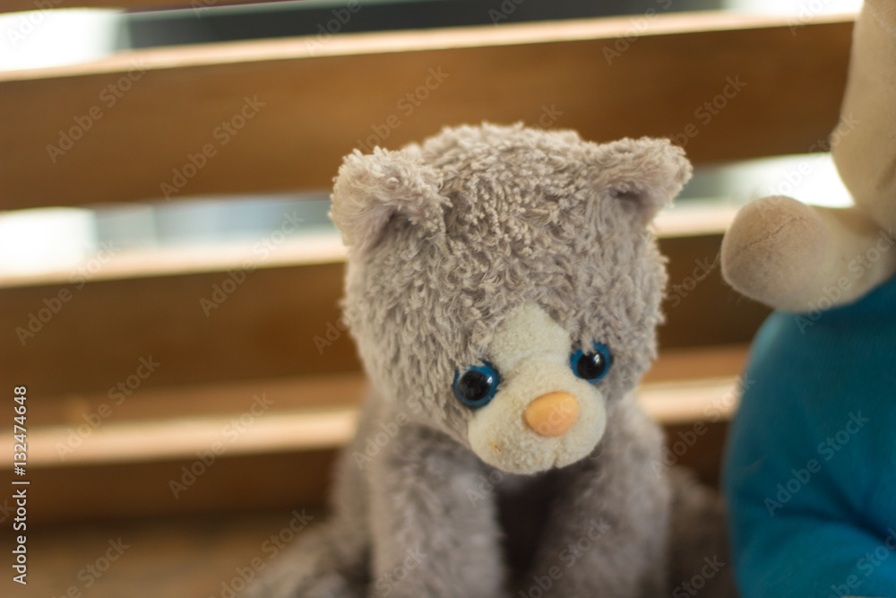 The pet doll collegtion The pet doll collegtion