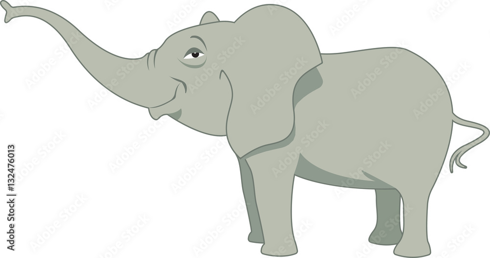 Fototapeta premium Baby elephant