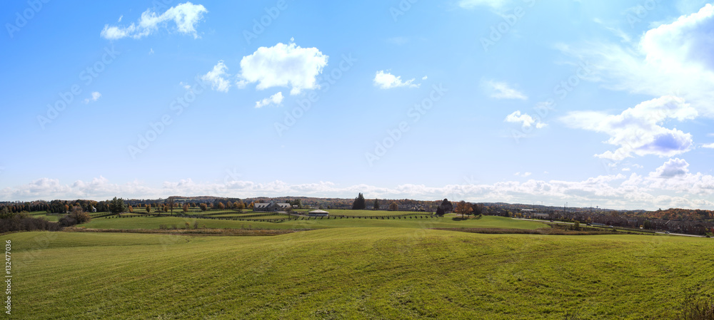 farm grass landscape view