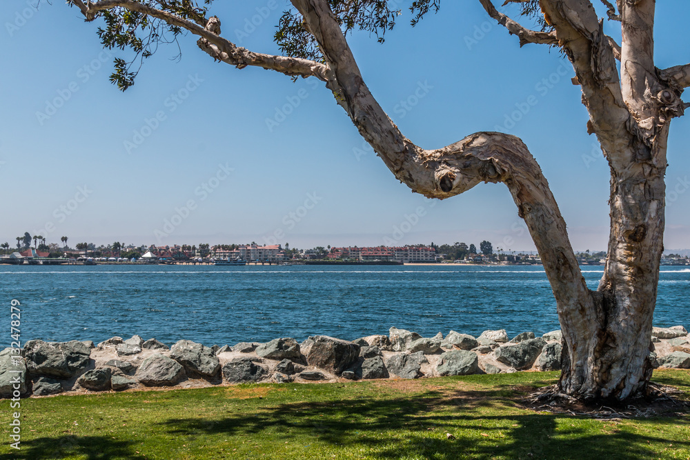 Fototapeta premium View of city of Coronado and San Diego bay, as seen from Embarcadero Park South in San Diego, California.