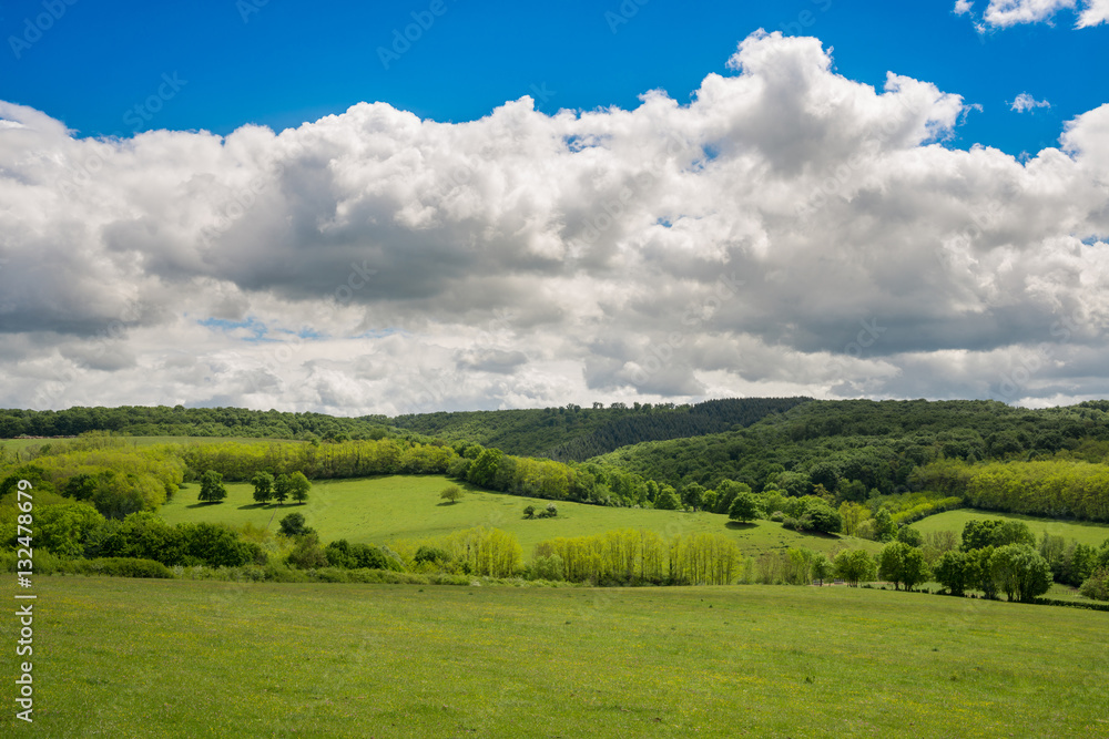 Spring Summer Rural landscape with a forest and a fileld in Fran Spring Summer Rural landscape with a forest and a fileld in Fran