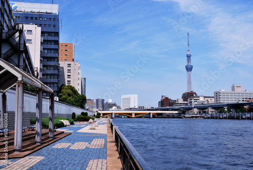 隅田川テラスと東京スカイツリー