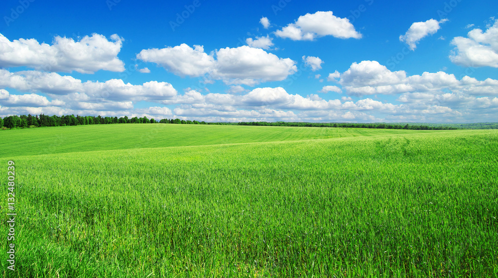 green field