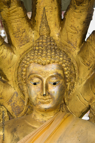 the Fat Buddha head in thai temple