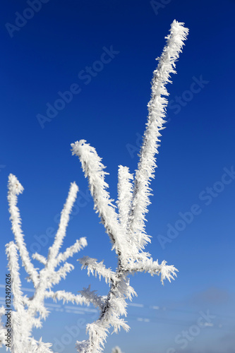 Beautiful fairytale snowy winter countryside with blue Sky in Central Bohemia, Czech Republic