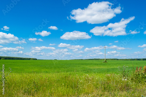 Green field with blue sky