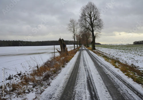 Winterlandschaft mit Allee © hecht7
