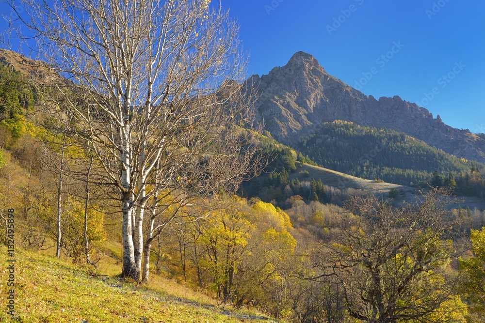 Fototapeta premium Autumn in mountains