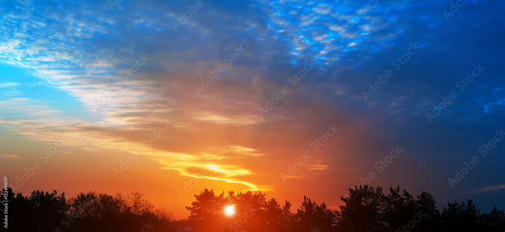 Fototapeta premium Beautiful northern sunset glow over the forest.