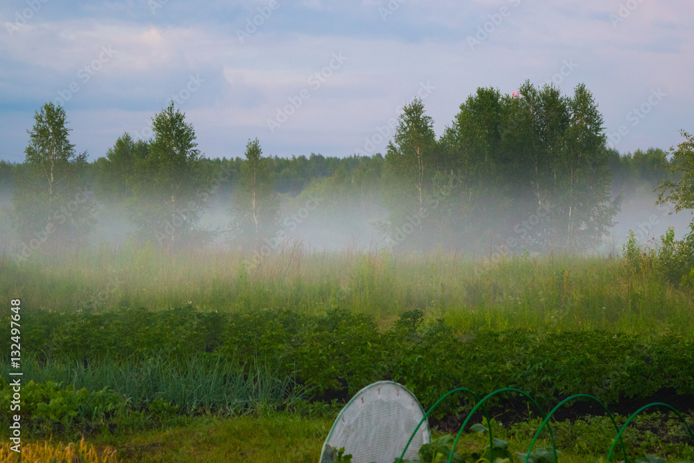 Fog under meadow rural landscape Russia