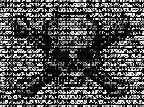 Binary Code Skull and Crossbones