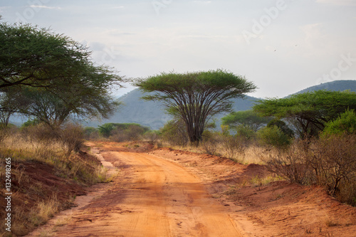 Road in the savannah of Kenya with big trees and mountains, baobab
