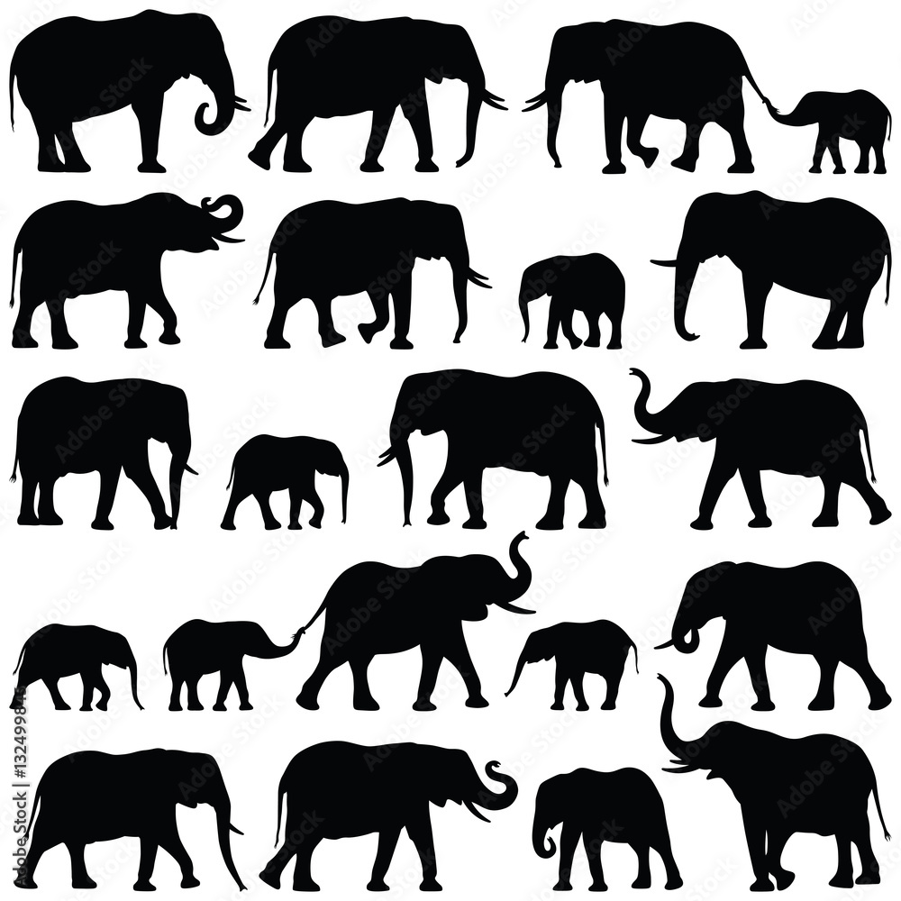 Elephant collection - vector silhouette