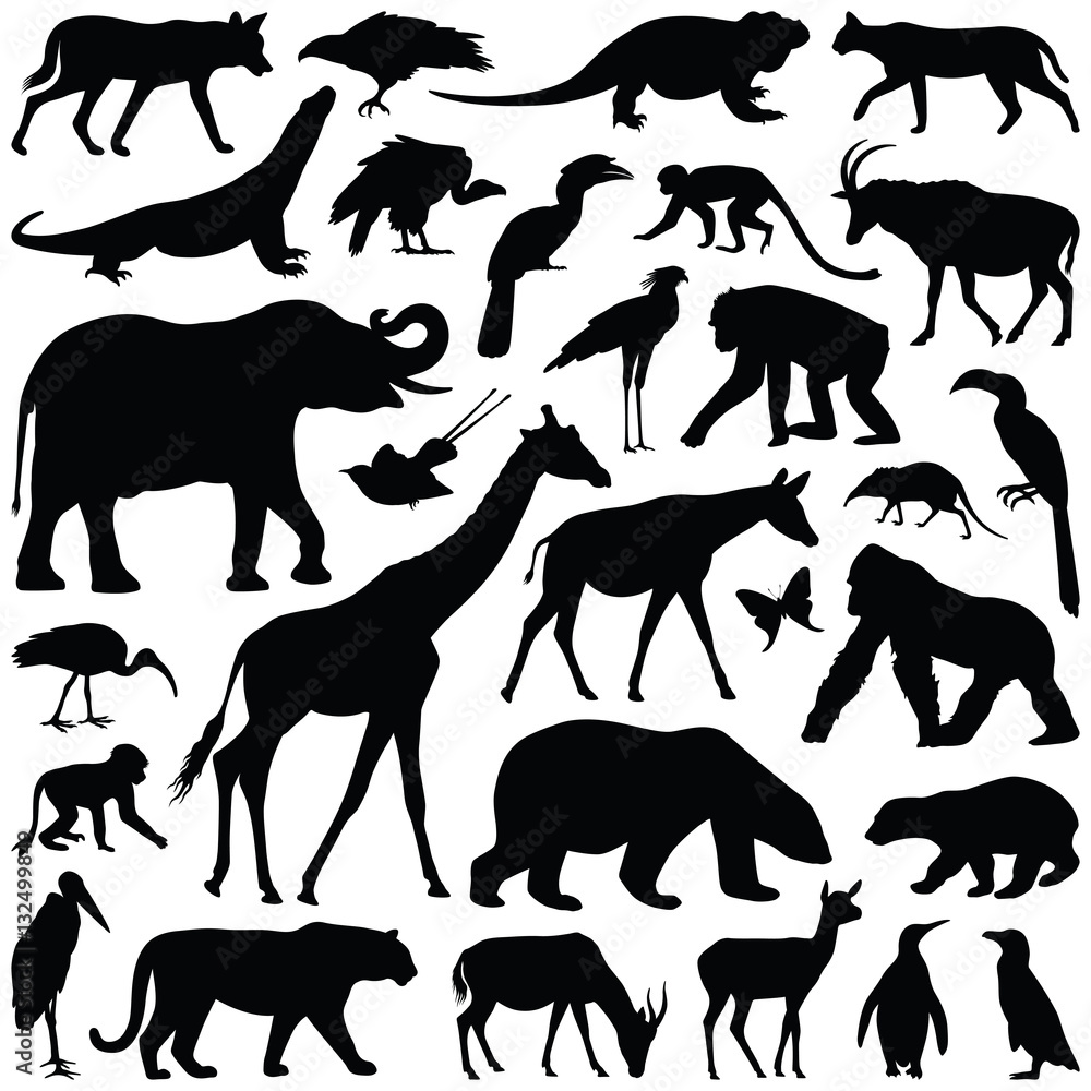 Zoo animals collection vector silhouette Stock Vector Adobe Stock