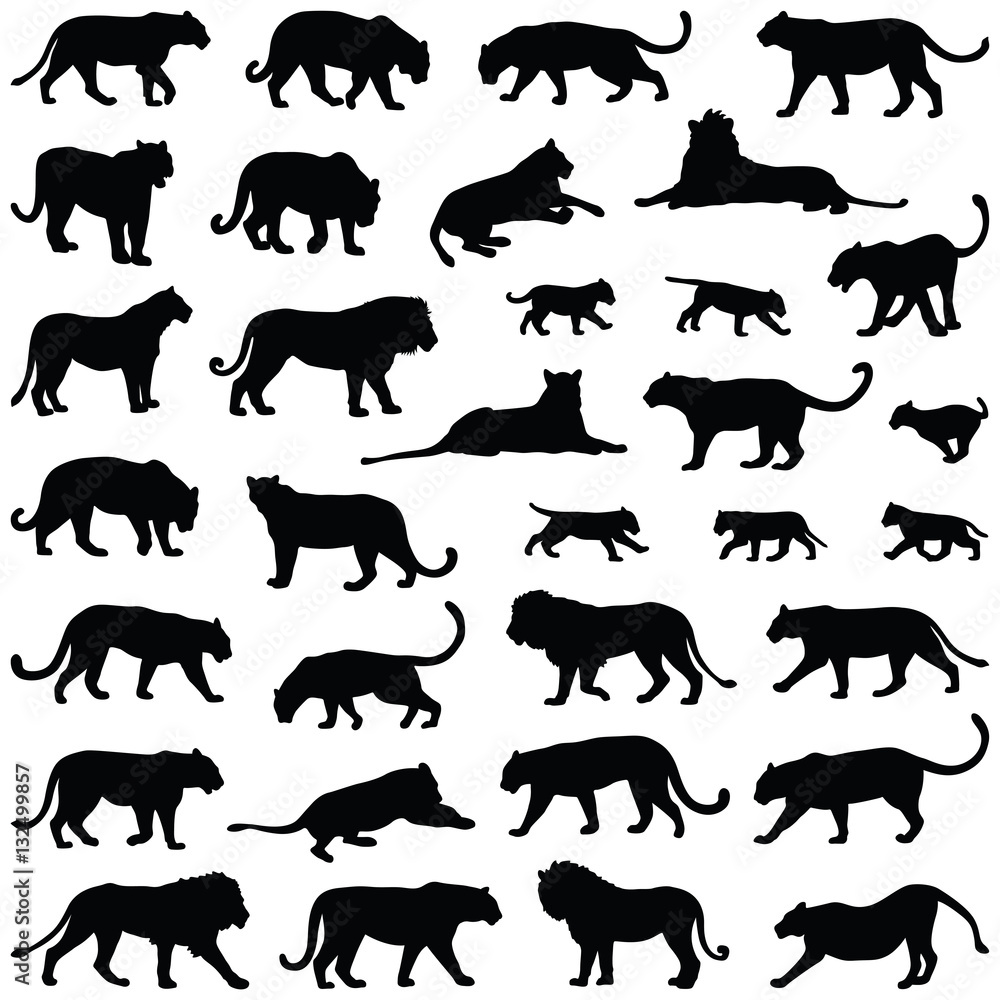Obraz premium Big cat collection - vector silhouette