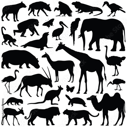 Zoo animals collection - vector silhouette