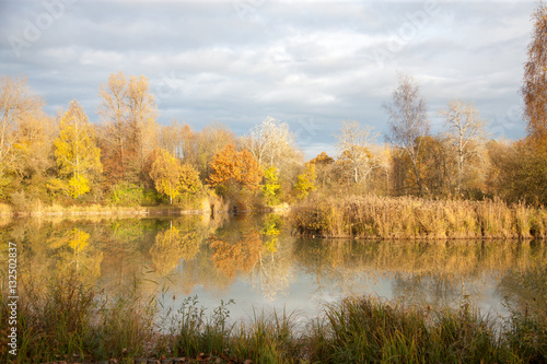 Landscape in Germany, autumn, trees and bushes near lake