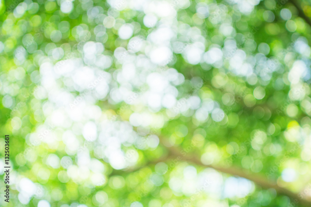 Abstract green bokeh blurred background with space Abstract green bokeh blurred background with space