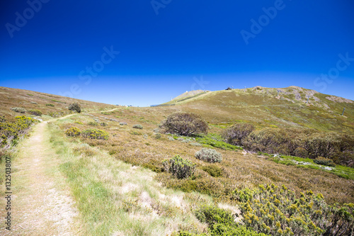 Mount Buller Walking Trails in Summer