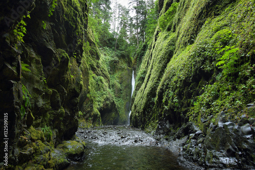 Lower falls in Oneonta Gorge. Columbia River Gorge