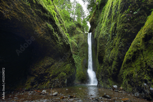 Fotografering Lower falls in Oneonta Gorge. Columbia River Gorge