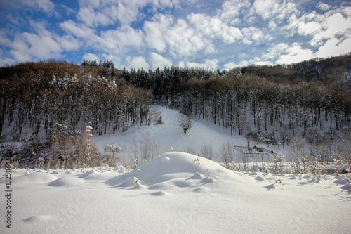 Wallpaper Mural The beautiful winter scenery of Ribaritsa, Bulgaria Torontodigital.ca