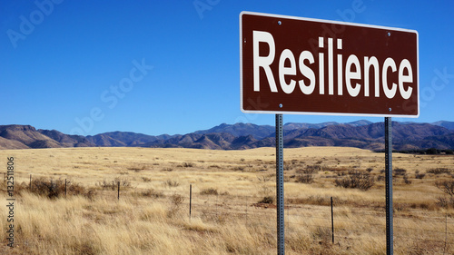 Resilience brown road sign