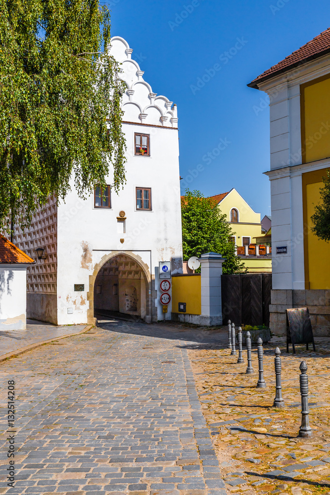 Svinenska Gate - Trebon, Czech Republic