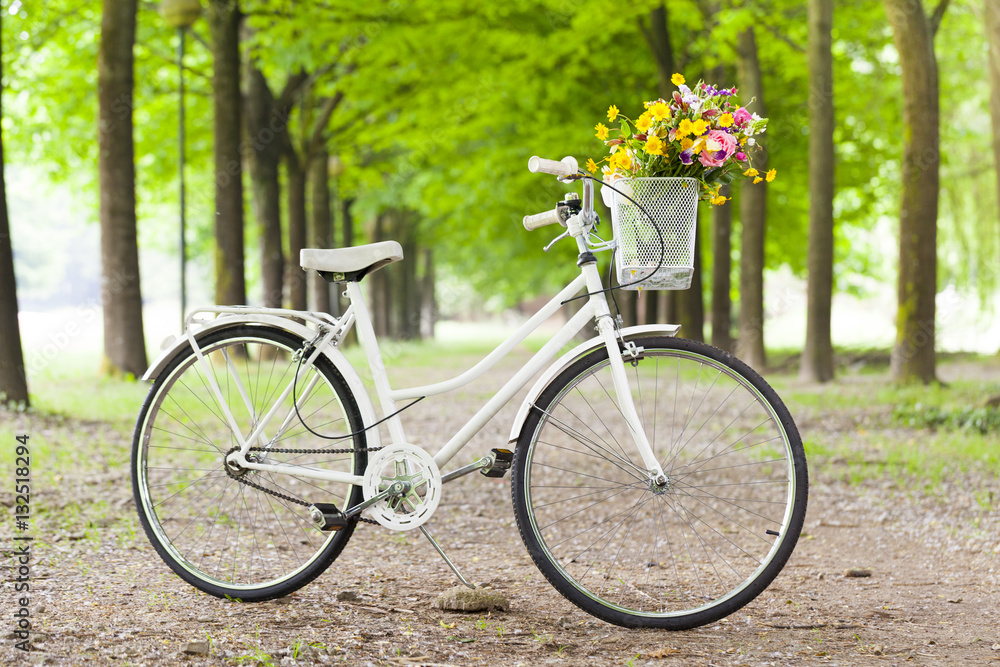 White vintage bicycle with flowers in basket at the park