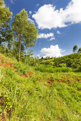 Beautiful Kenyan Highland Valley