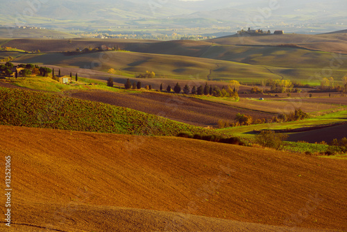 Fototapeta Naklejka Na Ścianę i Meble -  Wavy fields in Tuscany at sunset, Italy. Natural outdoor seasonal autumn background.
