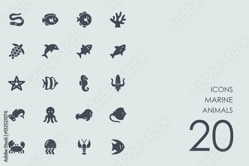 Set of marine animals icons © palau83